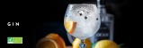 Gin bio