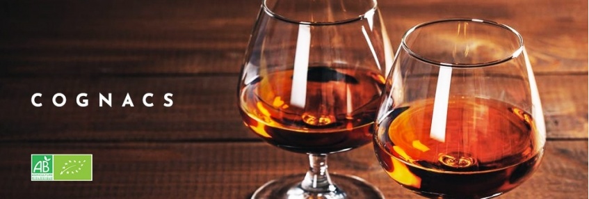Cognac Cognac