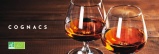 Cognac