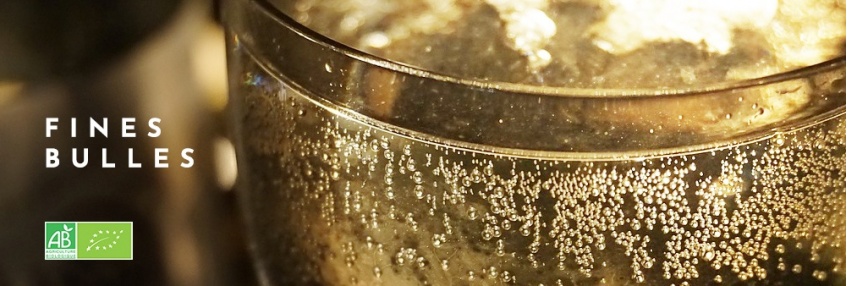 Champagnes bio Champagnes bio
