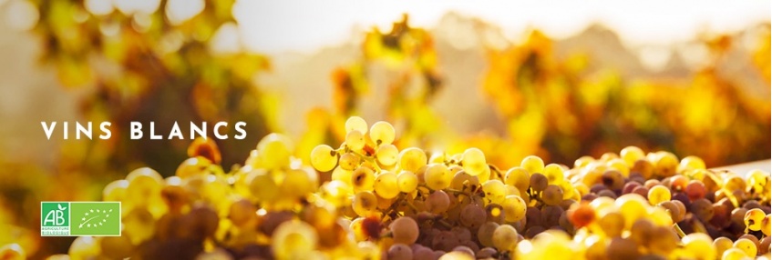 Vins Blancs bio
